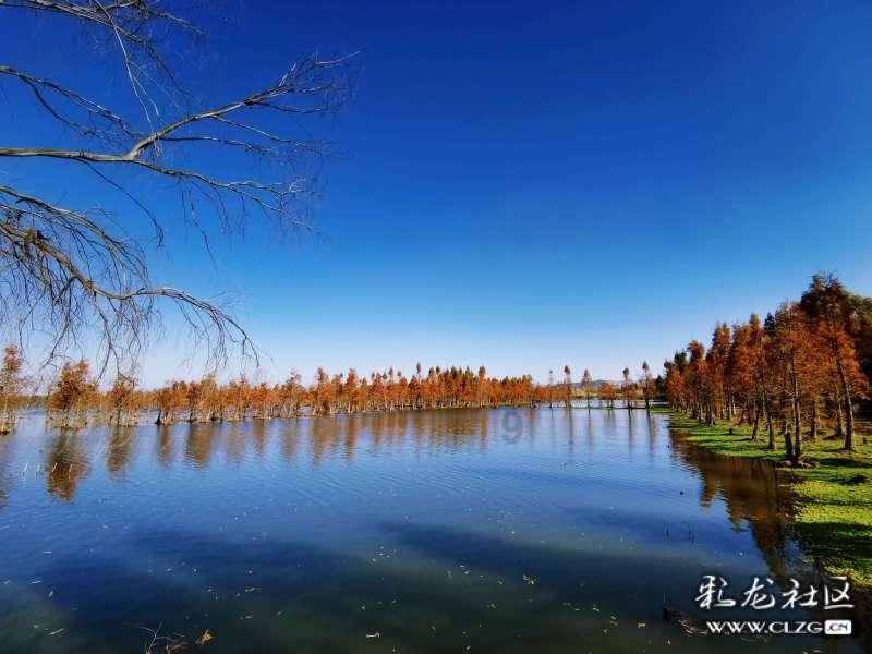 为啥我老公在城里骑摩托车都没有戴过头盔呀?-知识星球平台,为你贡献无限知识