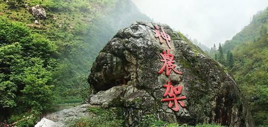 小猫钓鱼开船版最新版下载